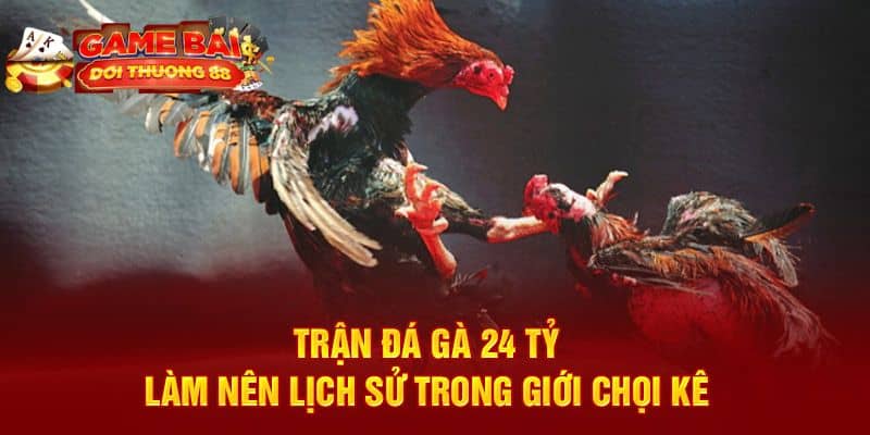 trận đá gà 24 tỷ