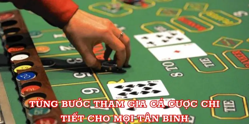 Từng bước tham gia cá cược chi tiết cho mọi tân binh